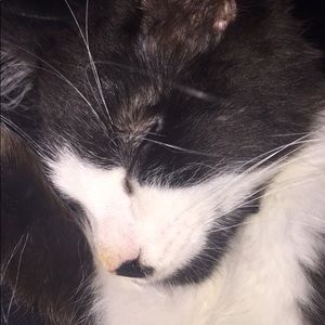 Meet your Posher, Gavin